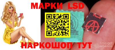 мескалин Гатчина