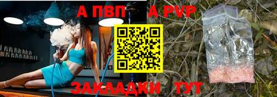спиды Гай