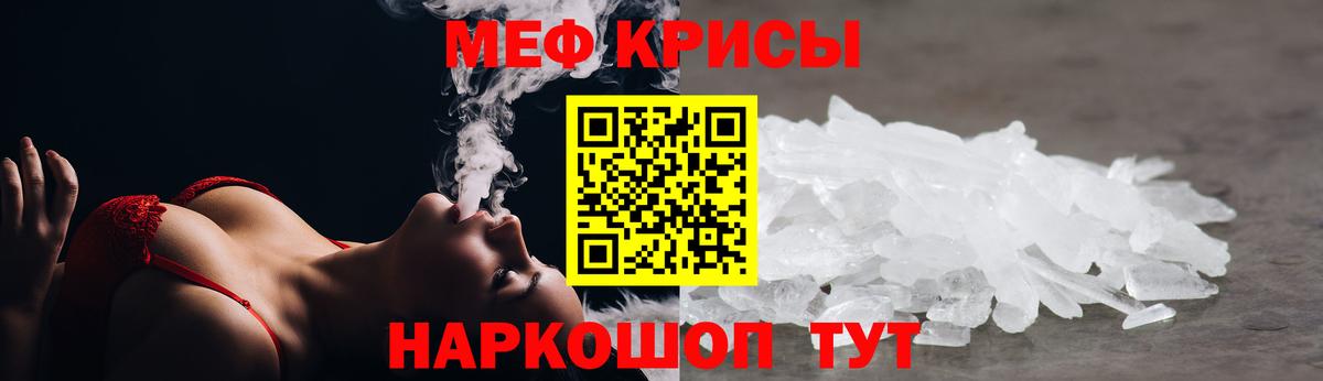 МЯУ-МЯУ  Вход с VPN  Калуга  МЕФ  МЯУ-МЯУ 4 MMC  МЯУ-МЯУ мяу мяу 