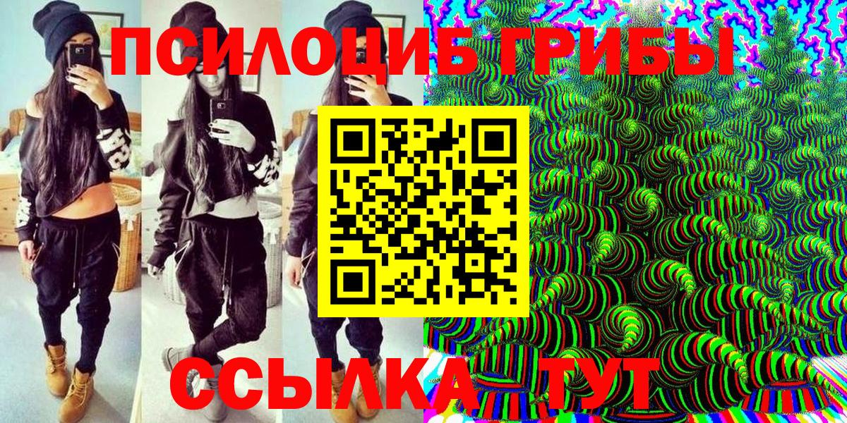 Калуга  магазин продажи наркотиков  Вход с VPN  Галлюциногенные грибы Psilocybe  Псилоцибиновые грибы Magic Shrooms 