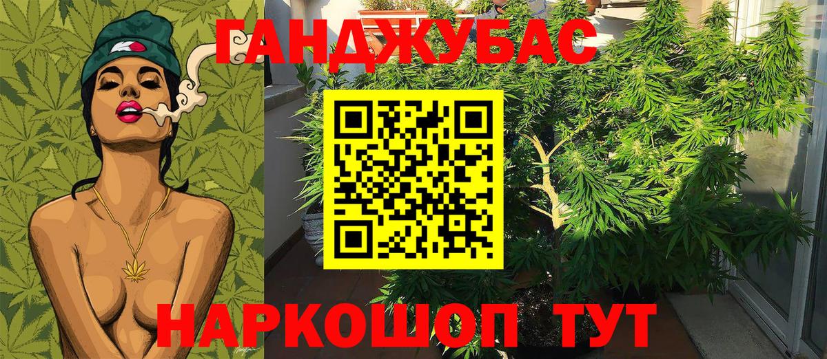 Шишки марихуана ГИДРОПОН  Бошки Шишки тримм  Бошки марихуана SATIVA & INDICA  Вход с VPN  МАРИХУАНА MAZAR  Калуга 